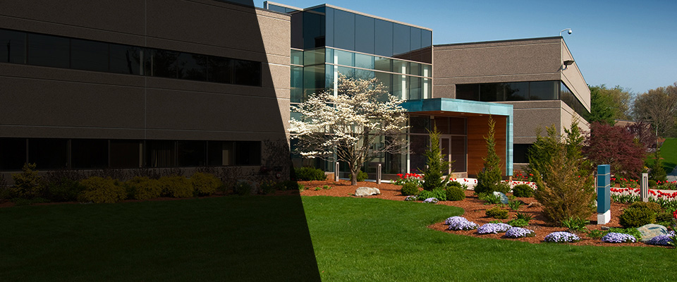 Fort Hood Landscapers