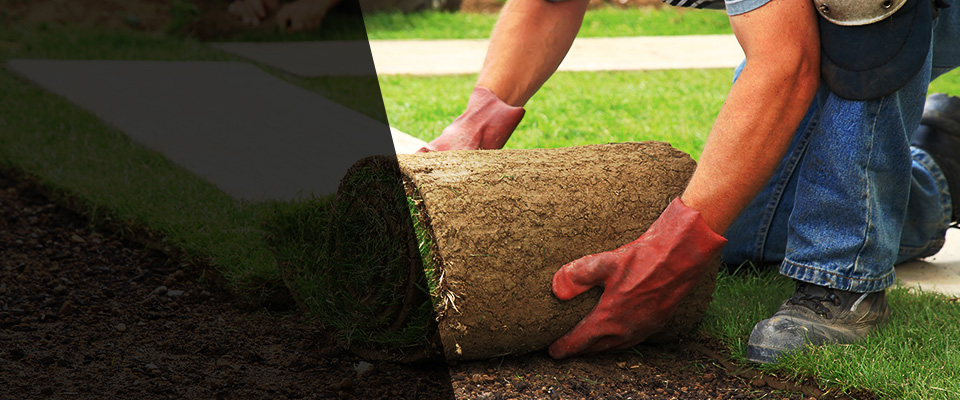 Fort Hood Landscapers